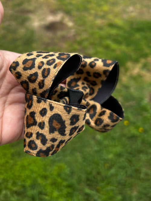Cheetah 6’